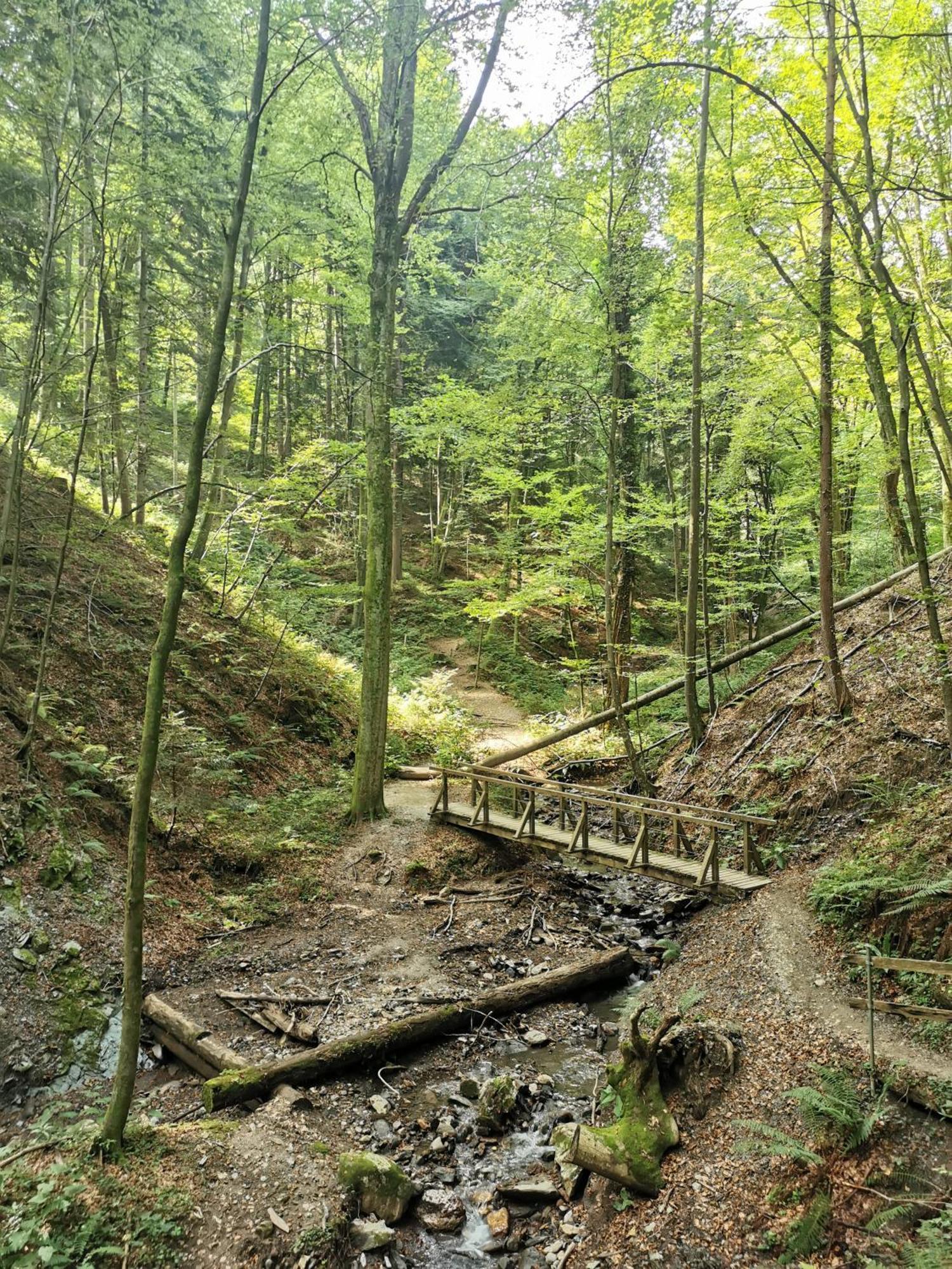 Vila Traumhaftes Ferienhaus am Lateinberg - 8455 Eibiswald Südsteiermark Exteriér fotografie