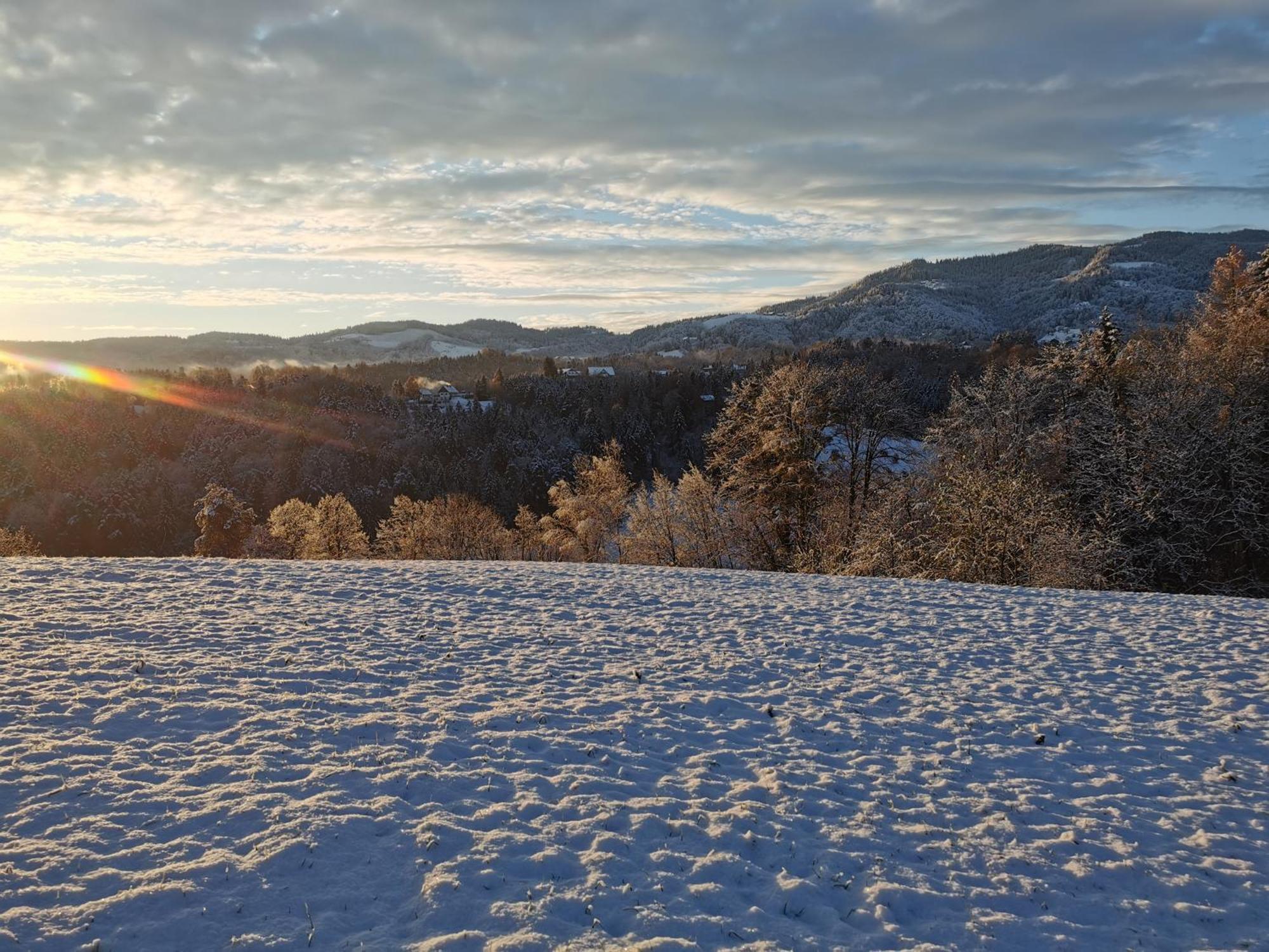 Traumhaftes Ferienhaus Am Lateinberg - 8455 Eibiswald Suedsteiermark Exteriér fotografie