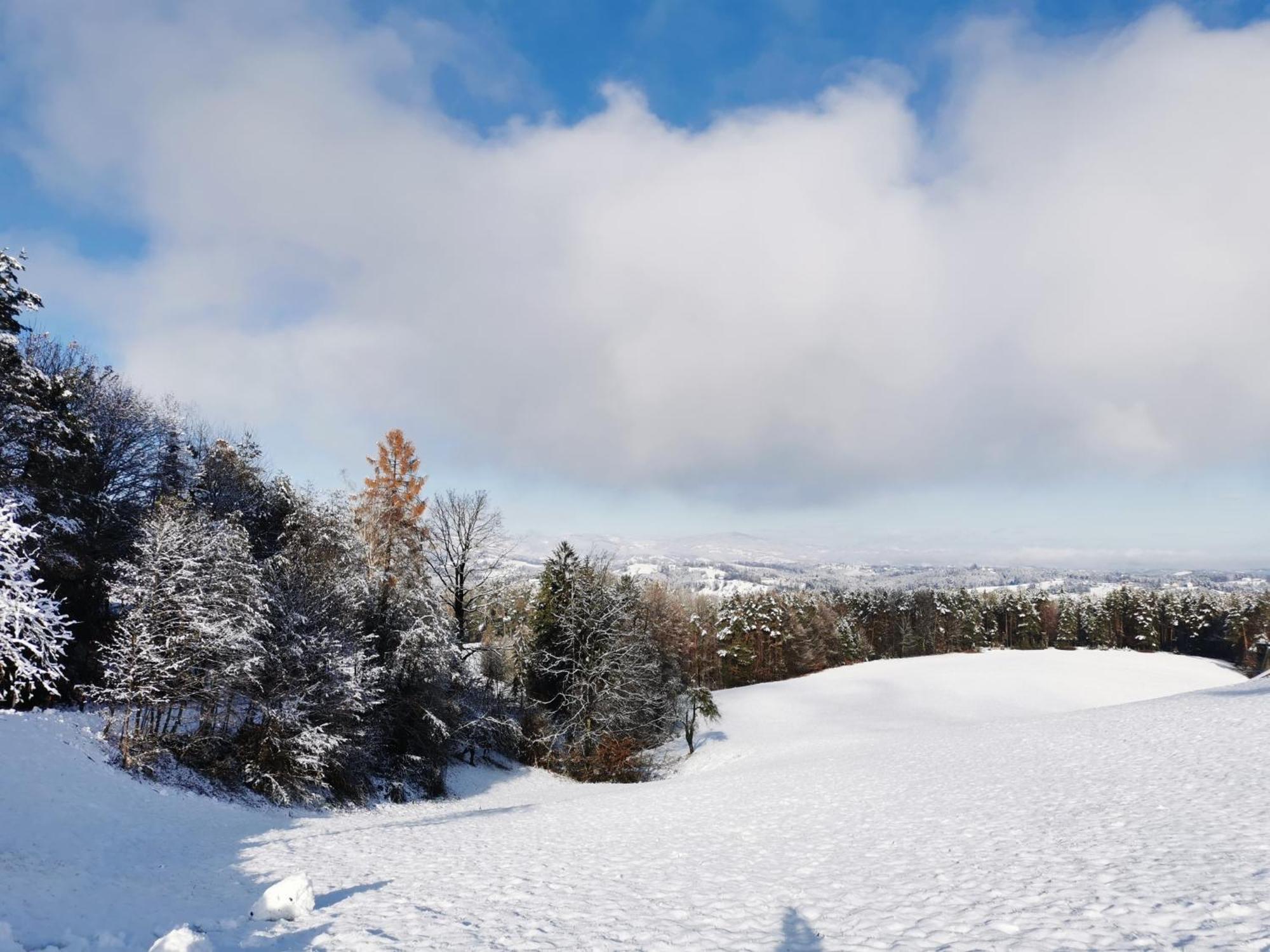 Vila Traumhaftes Ferienhaus am Lateinberg - 8455 Eibiswald Südsteiermark Exteriér fotografie