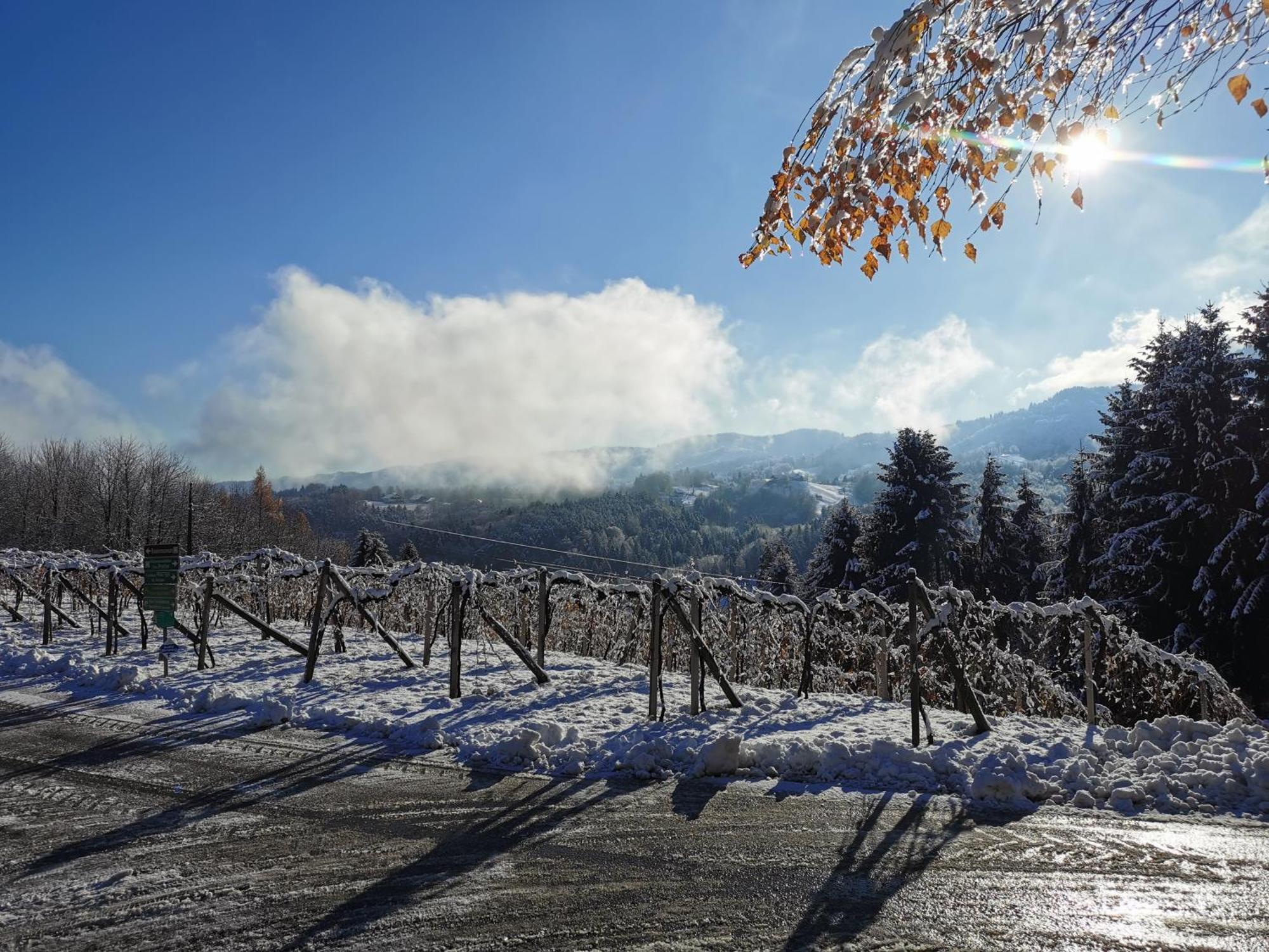 Vila Traumhaftes Ferienhaus am Lateinberg - 8455 Eibiswald Südsteiermark Exteriér fotografie