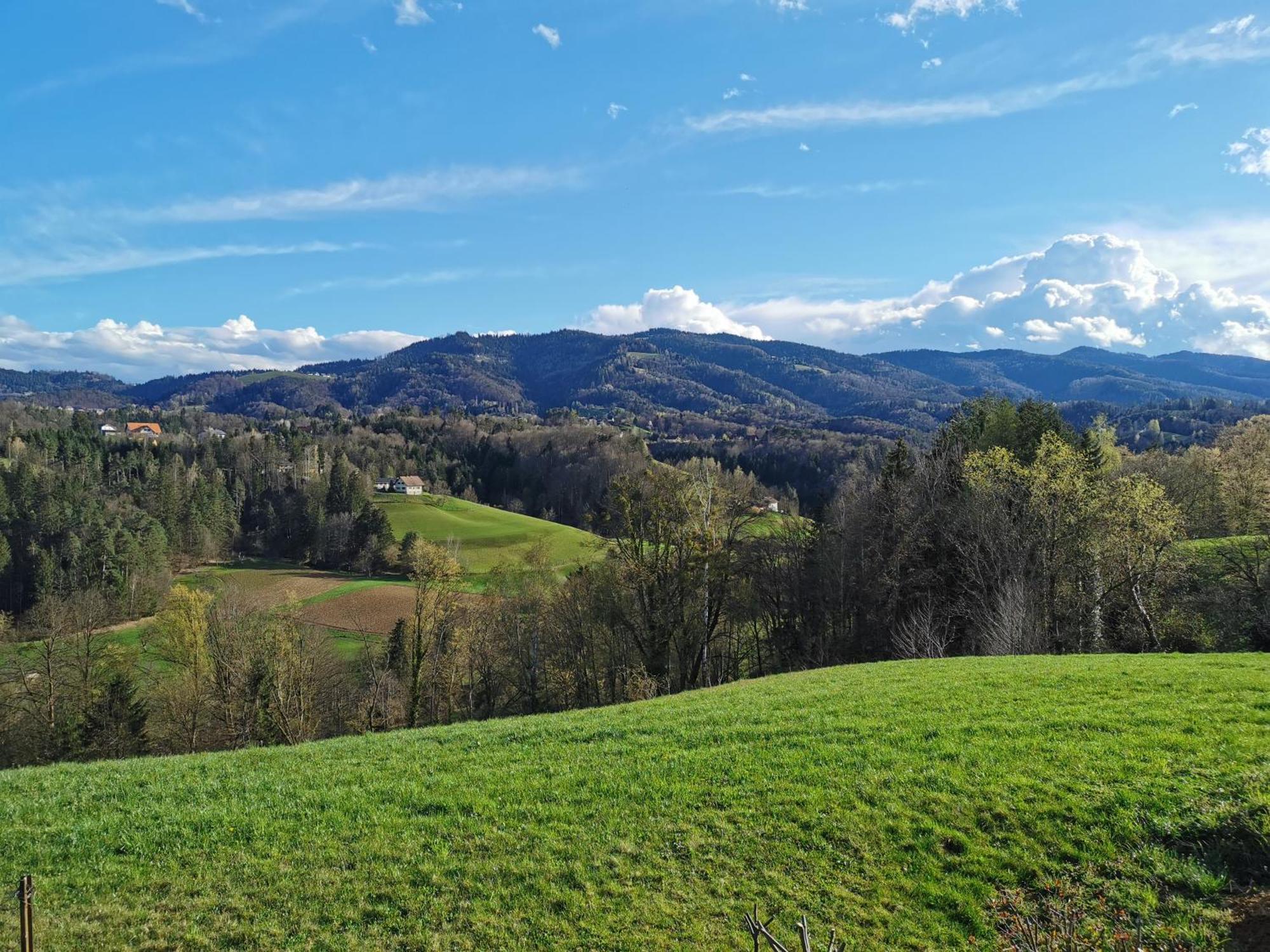 Traumhaftes Ferienhaus Am Lateinberg - 8455 Eibiswald Suedsteiermark Exteriér fotografie