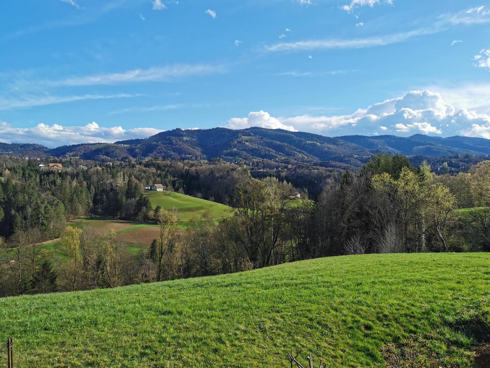 Vila Traumhaftes Ferienhaus am Lateinberg - 8455 Eibiswald Südsteiermark Exteriér fotografie